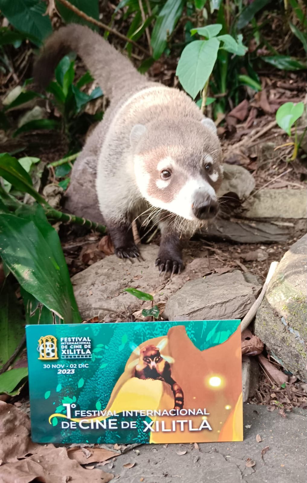 FICXILITLA edición 2024, foto 2